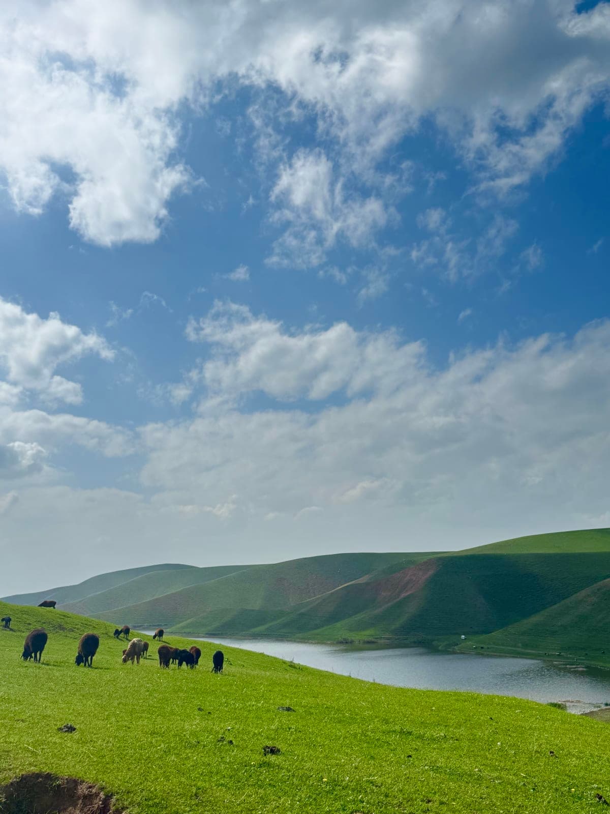 Пикник с видом — только для девушек — 2