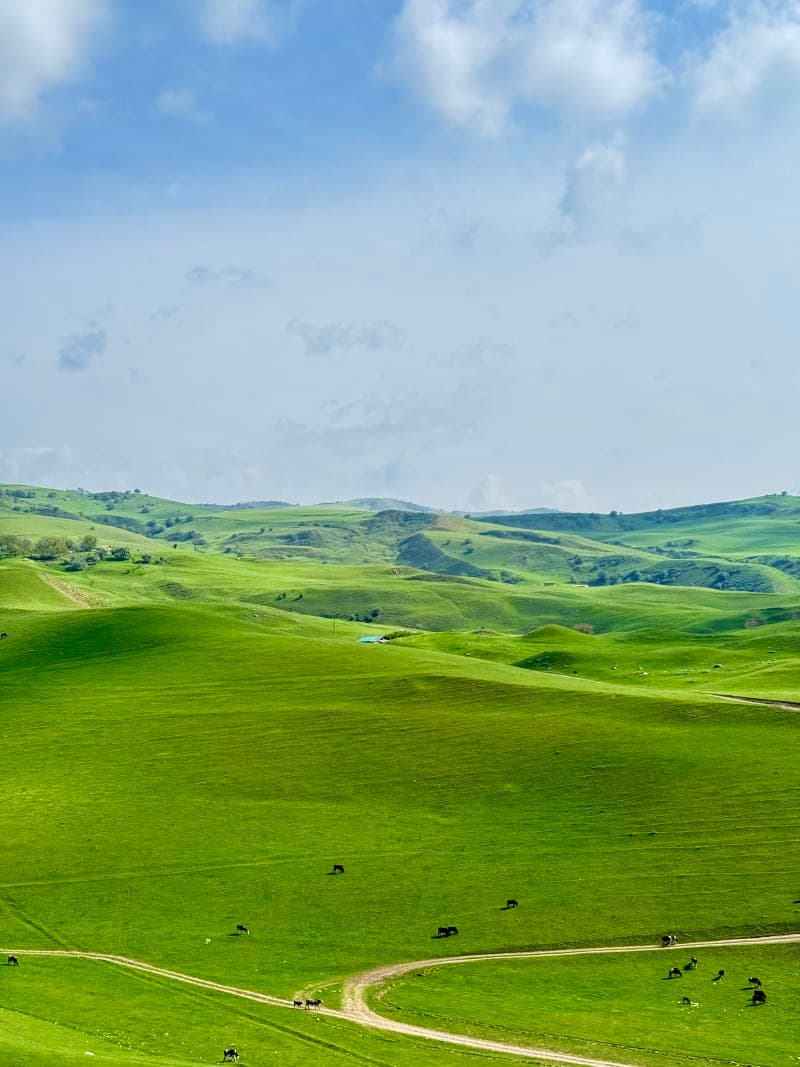 Chiroyli manzarada piknik — faqat qizlar uchun 3